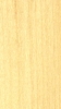 Koto