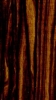 Macassar