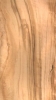 Oliva