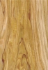 OLIVA DC