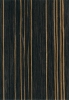 EBEN CERNY 082 DS
